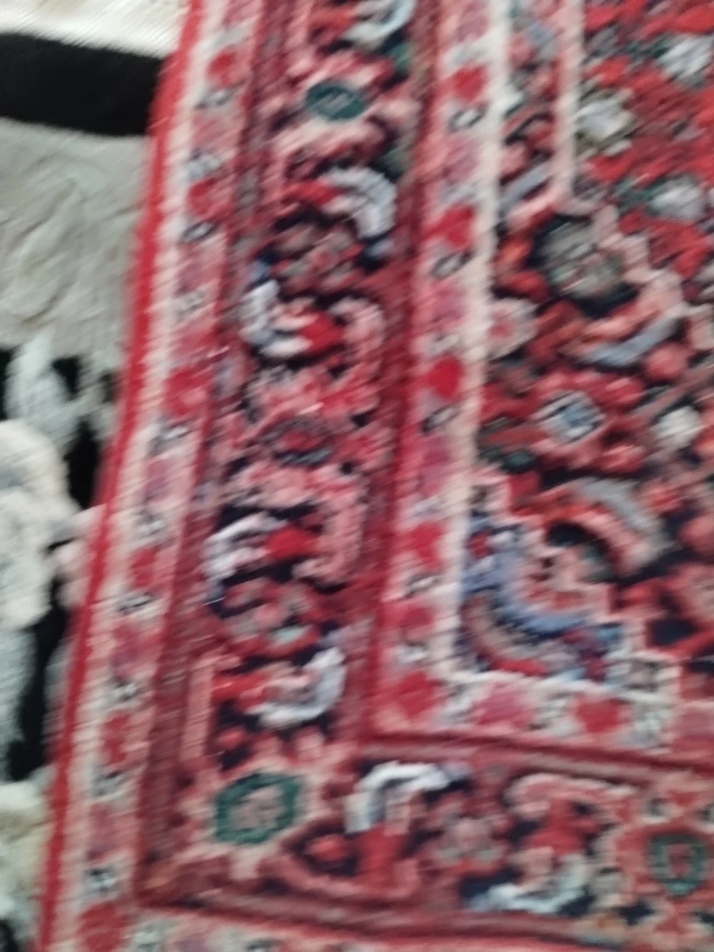 Red Patterned Door Mat - Classic Accent Rug